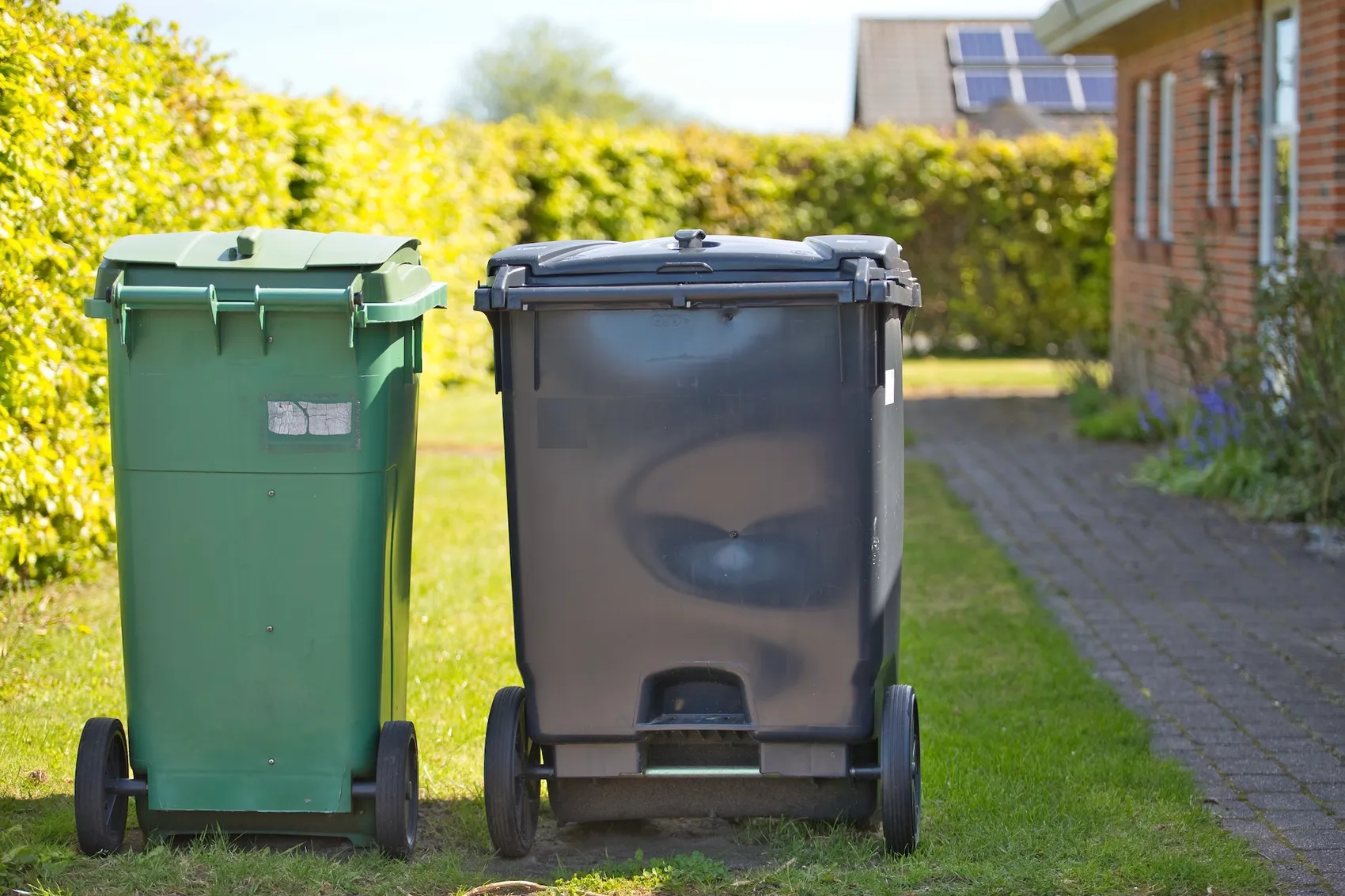 Grüne und schwarze Mülltonne stehen nebeneinander auf einem Rasen vor einem Haus mit Solarpanelen.