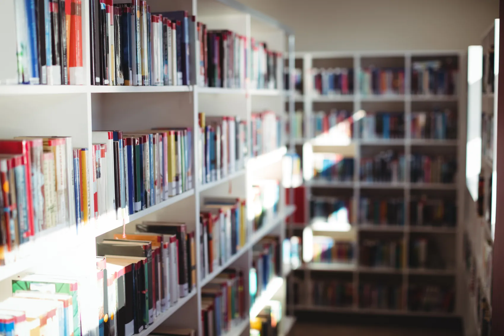 Reihen von Büchern in weißen Regalen füllen einen Bibliotheksraum. Das Bild vermittelt eine ruhige Atmosphäre des Lesens und Lernens.
