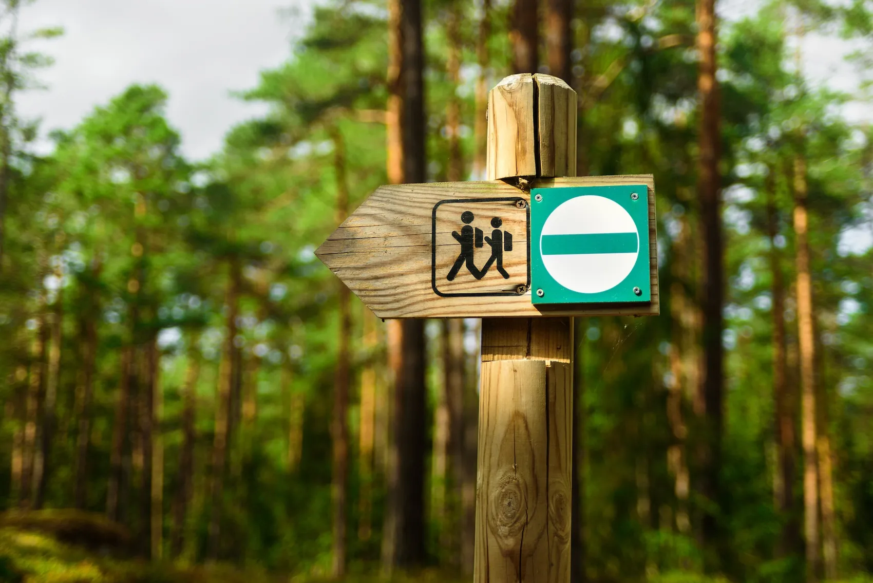 Holzschild mit dem Symbol für einen Wanderweg, der nach rechts zeigt, im Wald.